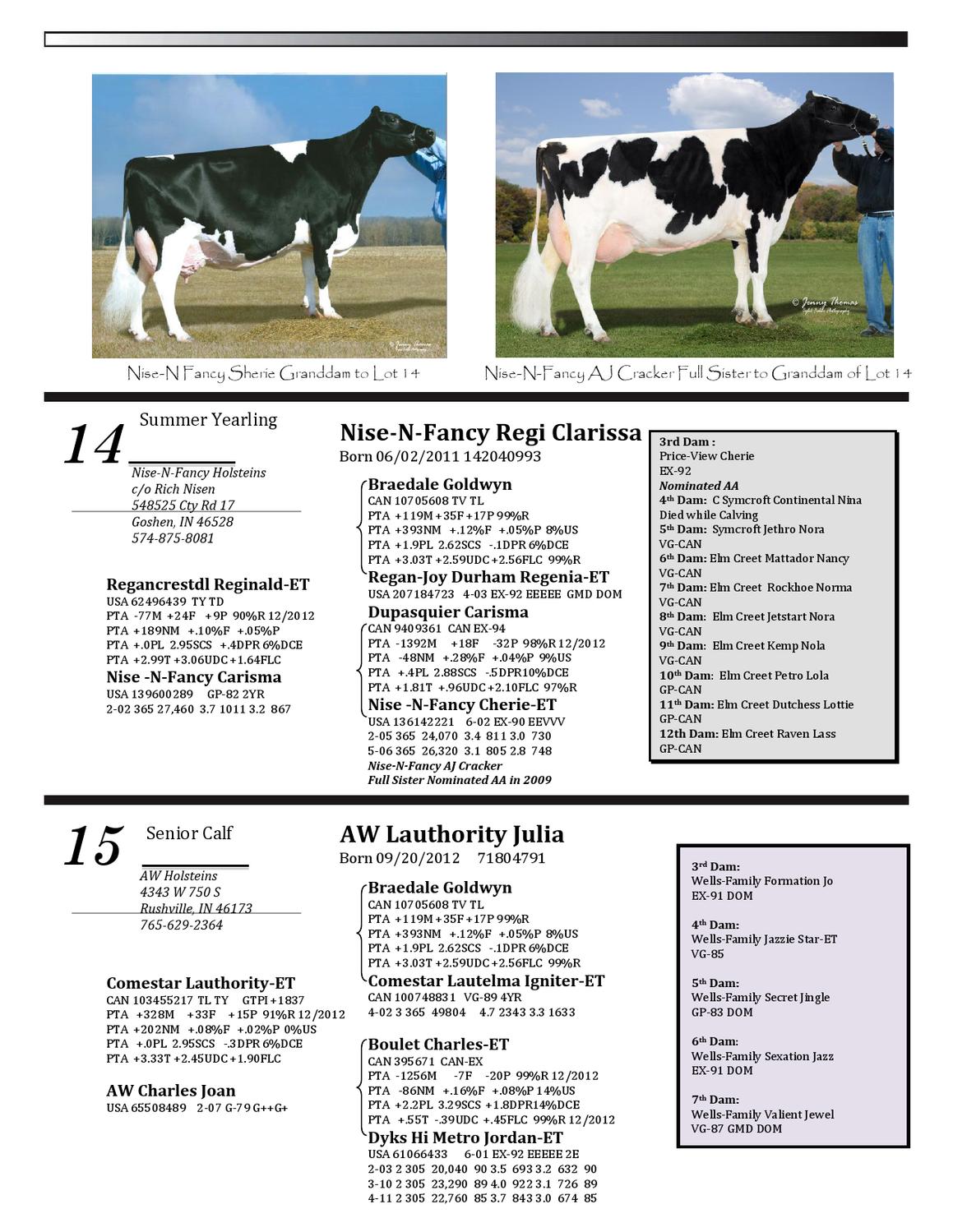 Boilermaker Heifer Sale By Dairy Agenda Today Issuu