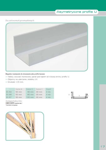 Castel COOL PL - Castel Engineering Polska 第 17 页