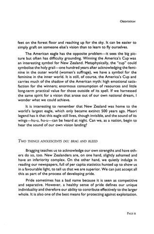 New Zealand - Standing For The Sacred 第 16 页