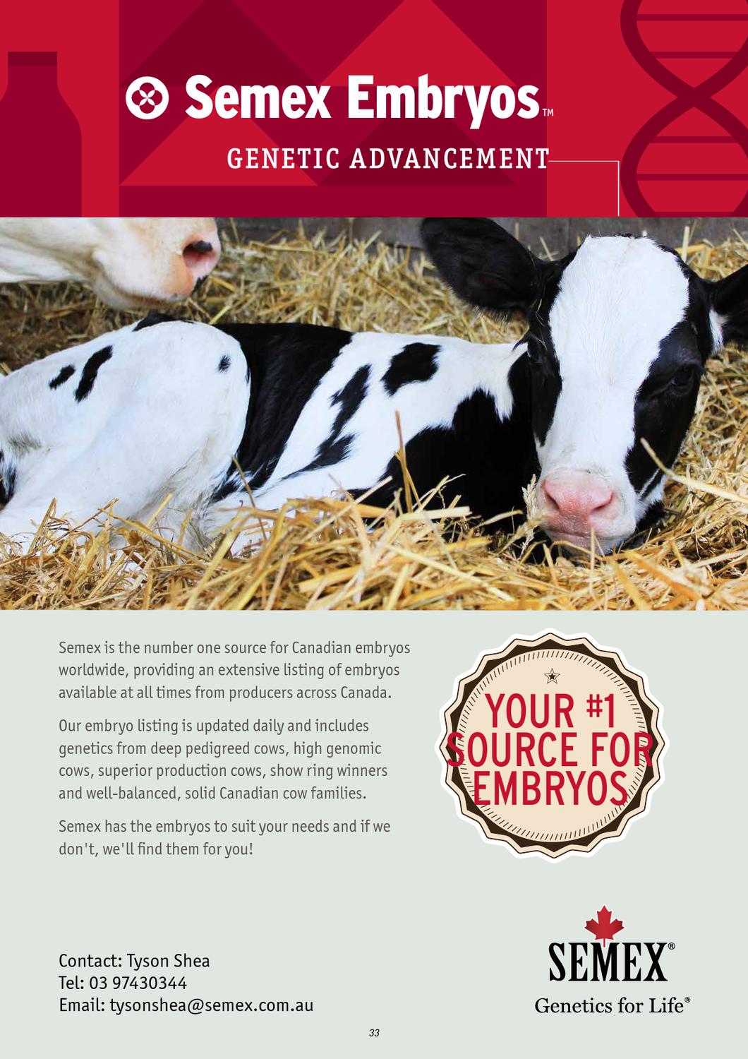 Jersey embryos australia Clearance