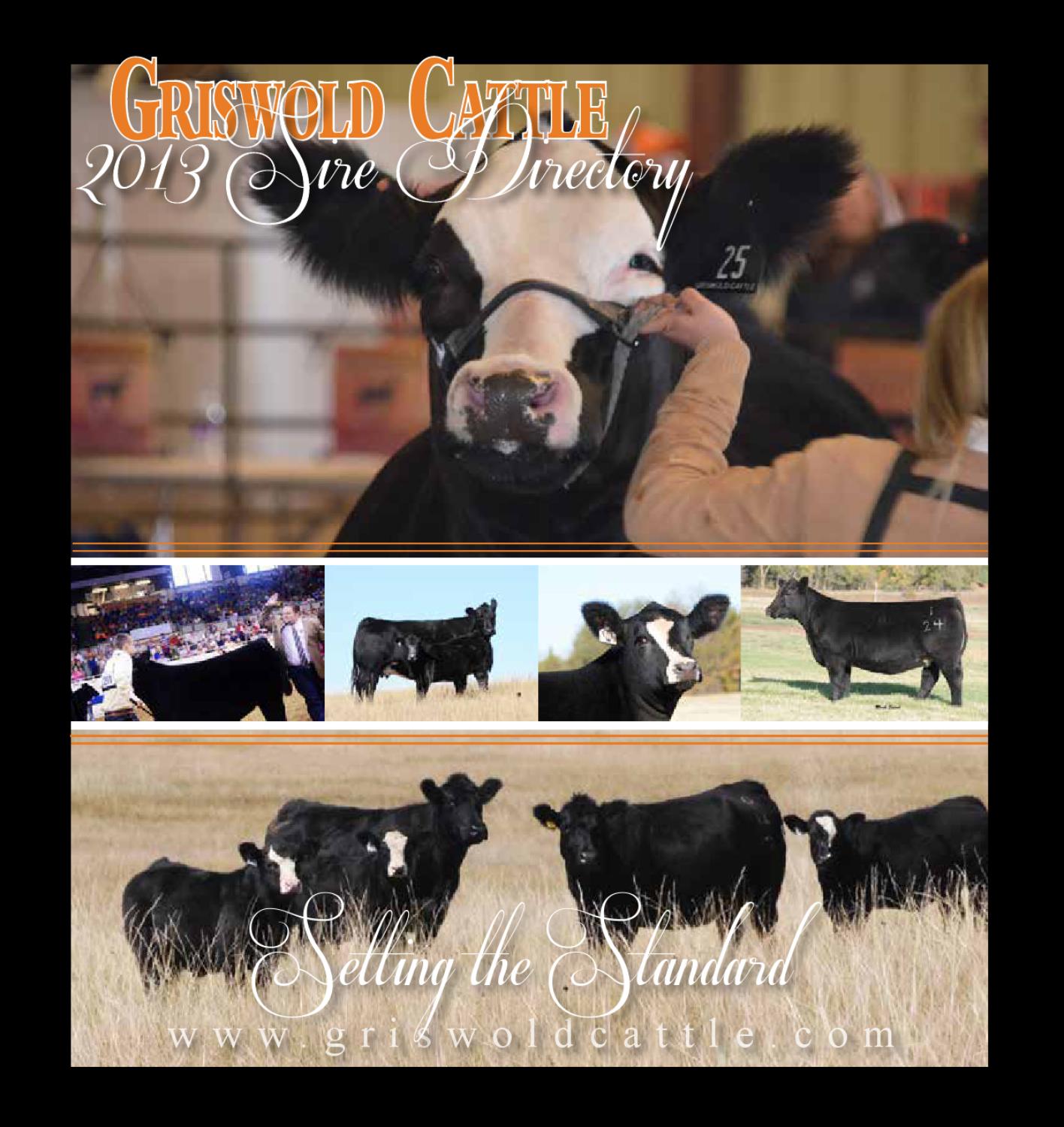 Griswold Cattle 2013 Sire Directory by Tracy McMurphy Issuu