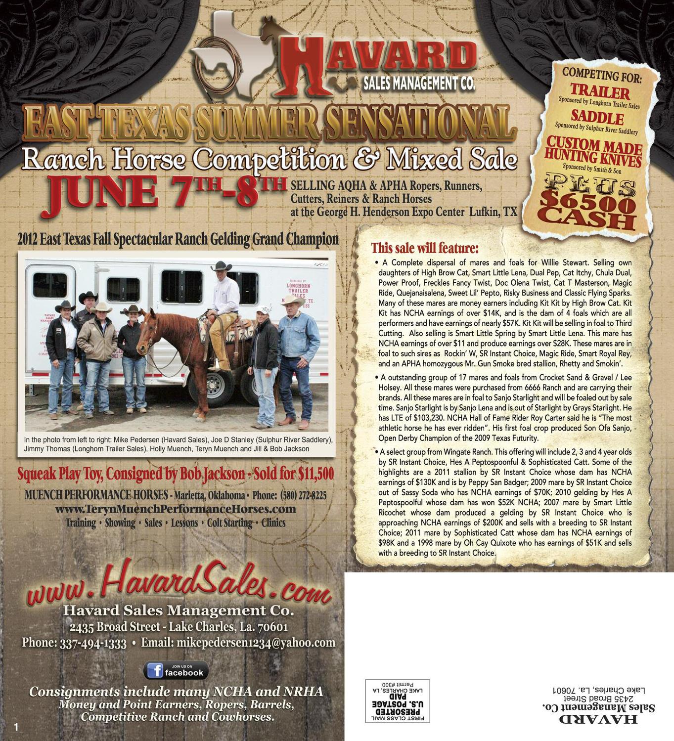 Havard June Horse sale by Big Sky Design Issuu