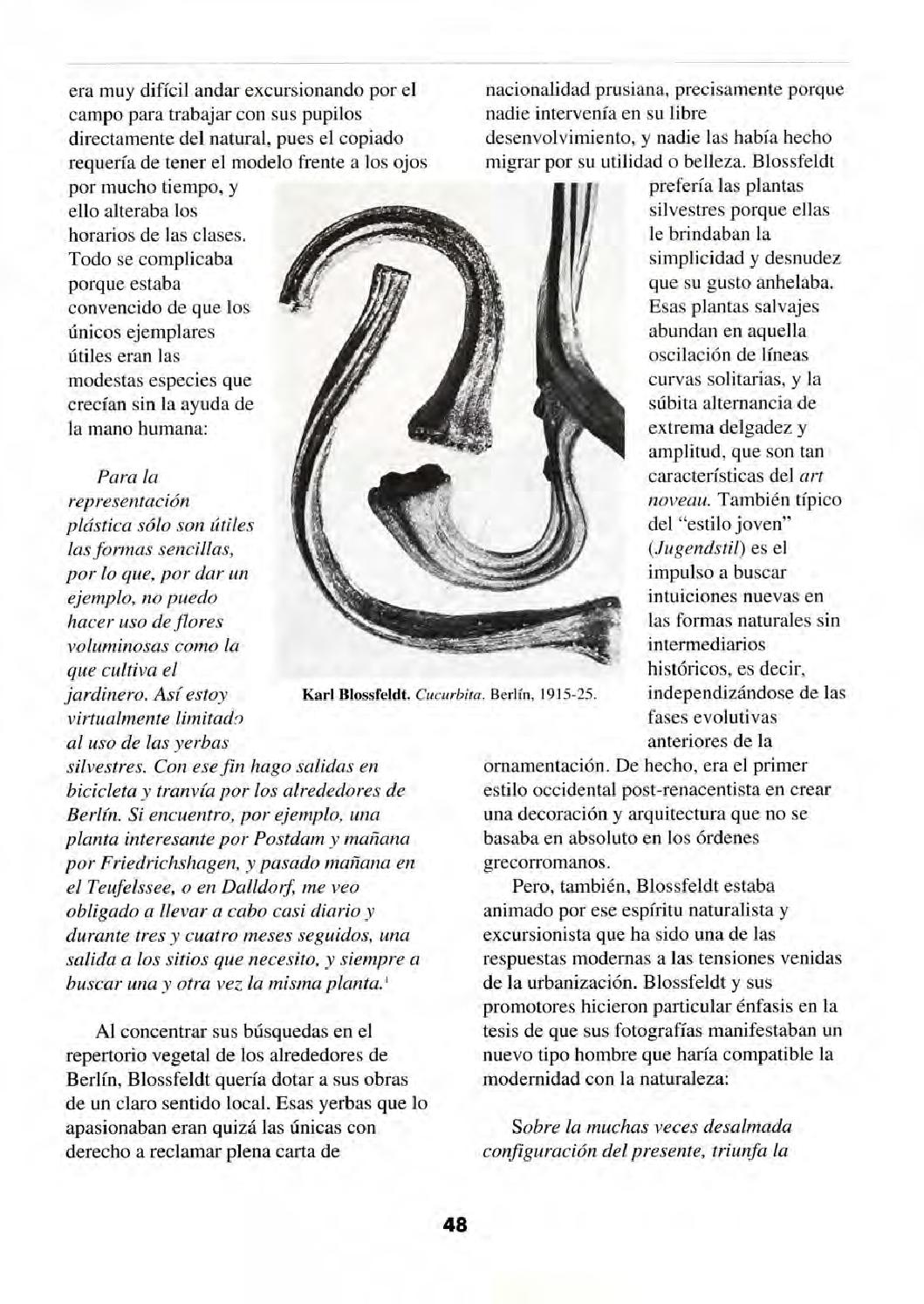 Luna Córnea 5. Naturaleza Quieta by Centro de la Imagen - Issuu