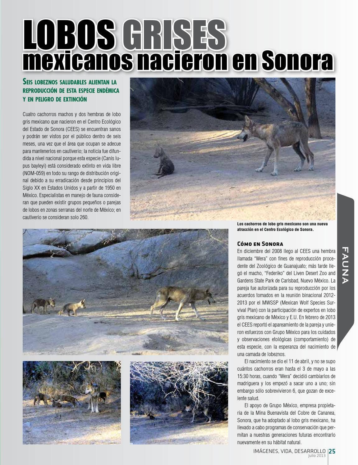 Infografia Lobos | PDF, image size:1152x1498