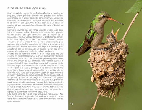 El Colibrí 第 12 页