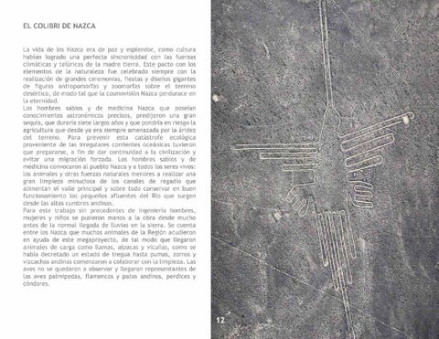 El Colibrí 第 14 页