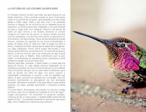 El Colibrí 第 16 页