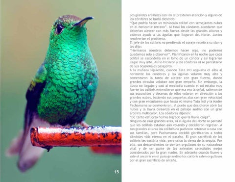 El Colibrí 第 17 页
