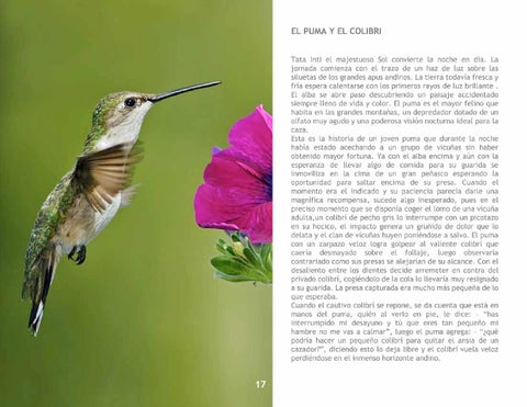 El Colibrí 第 19 页