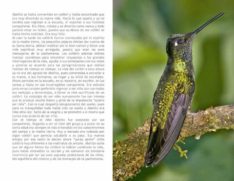El Colibrí 第 22 页