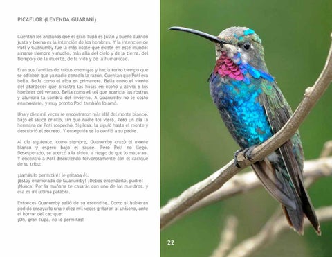 El Colibrí 第 24 页