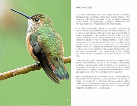 El Colibrí 第 5 页