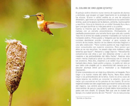 El Colibrí 第 7 页