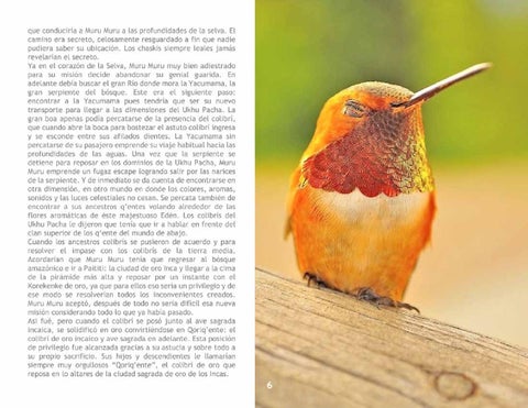 El Colibrí 第 8 页