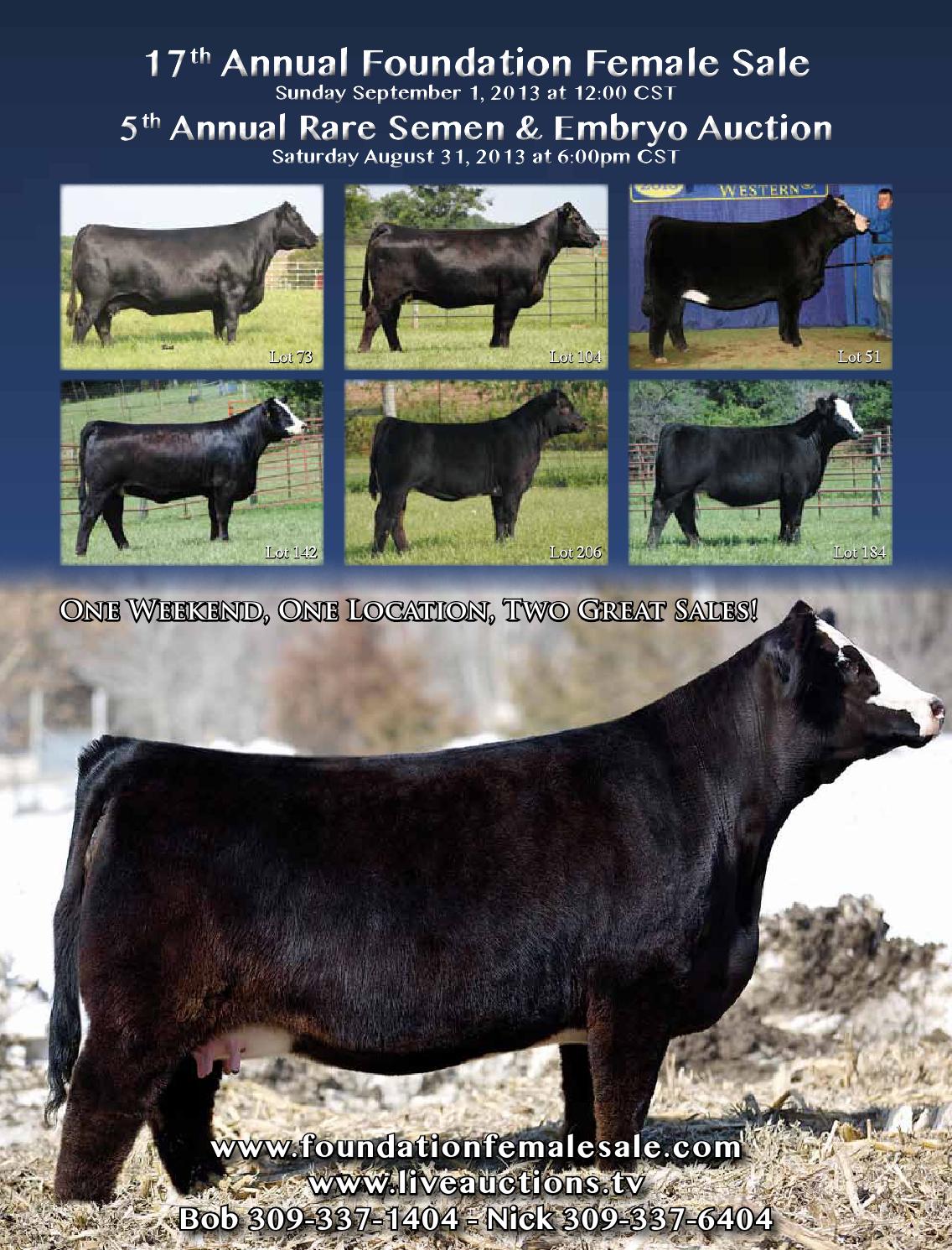 2013 Foundation Female Sale by Dwyer Cattle Services Issuu
