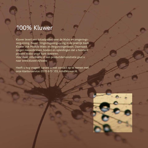 Kluwer 第 13 页