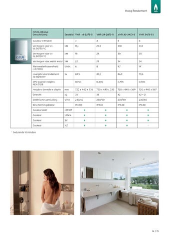 Vaillant 第 15 页