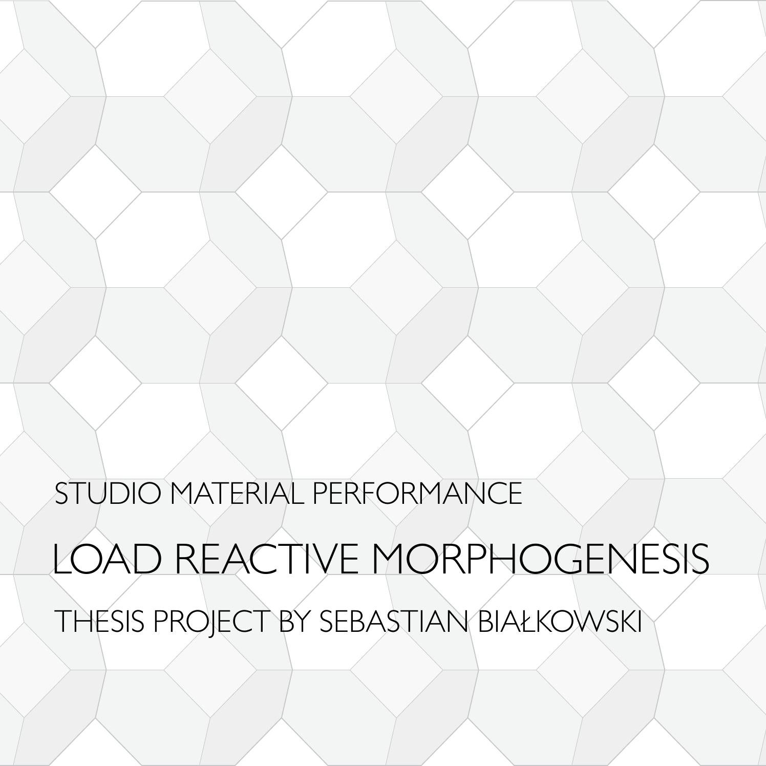 LOAD REACTIVE MORPHOGENESIS THESI PROJECT BY SEBASTIAN BIAKOWSKI