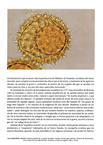 Page 216