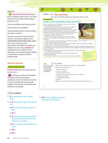 Page 65