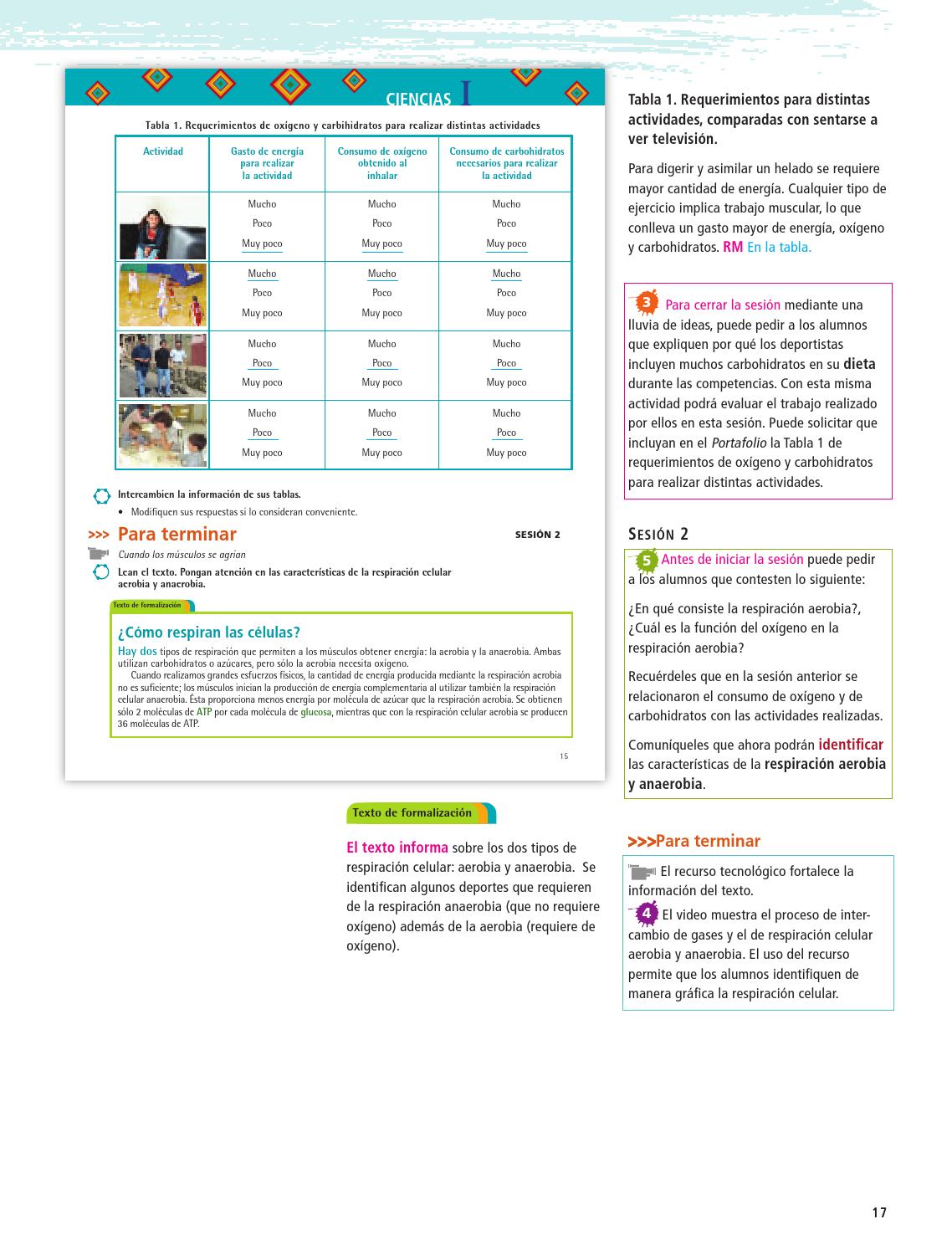 respiración celular y dieta