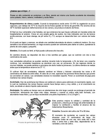 Page 251