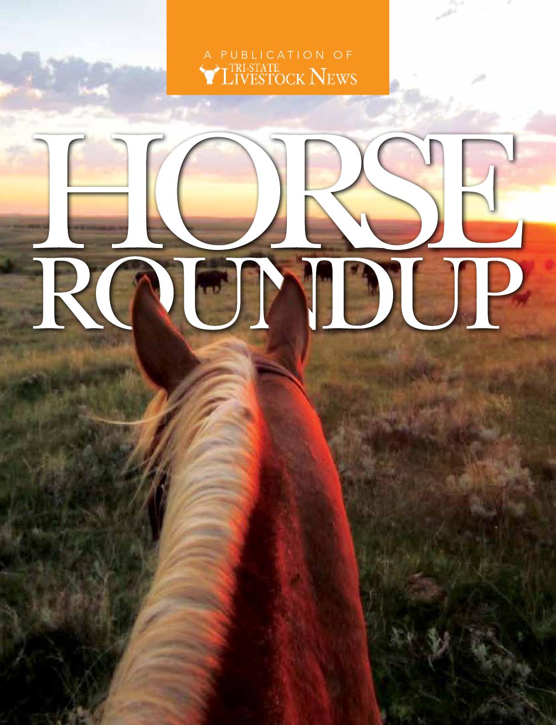 Horse Roundup by TriState Livestock News Farmer & Rancher Exchange