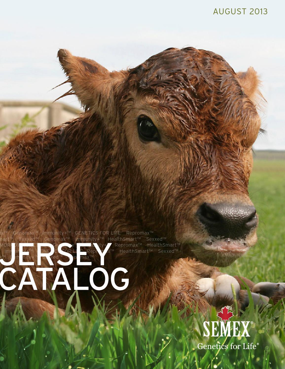 Semex August 2013 USA Jersey Catalog by Semex Issuu