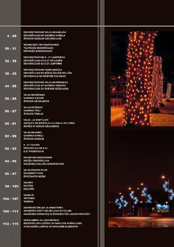 ADAMLIGHTS Adam Decolight Christmas 灯饰目录 2008 / 2009 est lt lv 第 2 页