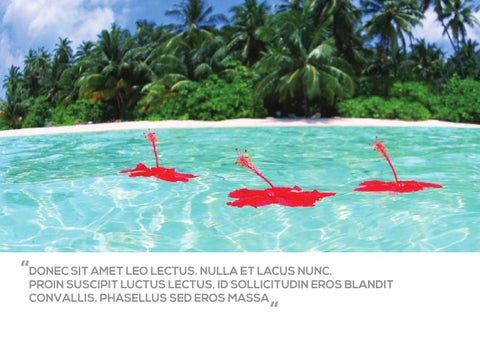 Plustravel 第 10 页
