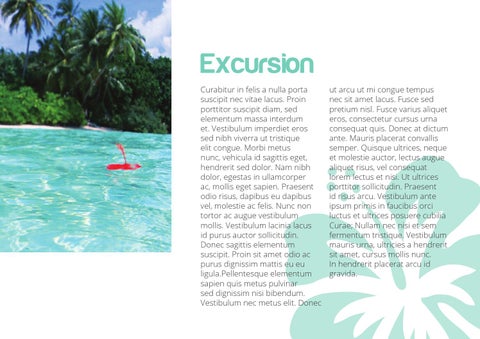 Plustravel 第 11 页