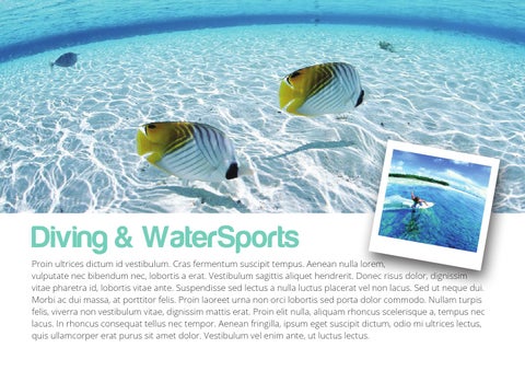 Plustravel 第 12 页