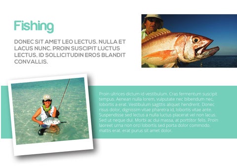 Plustravel 第 13 页