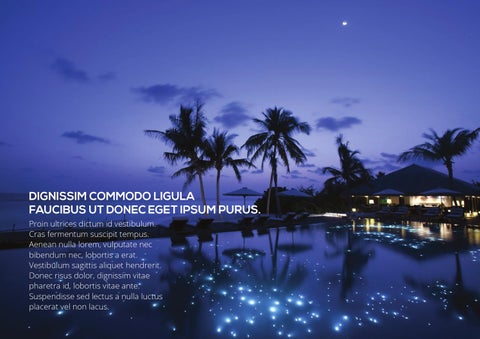 Plustravel 第 16 页
