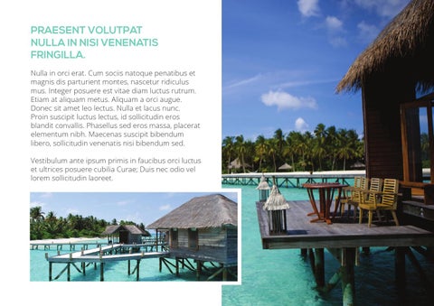 Plustravel 第 4 页