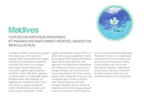 Plustravel 第 6 页