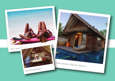 Plustravel 第 8 页