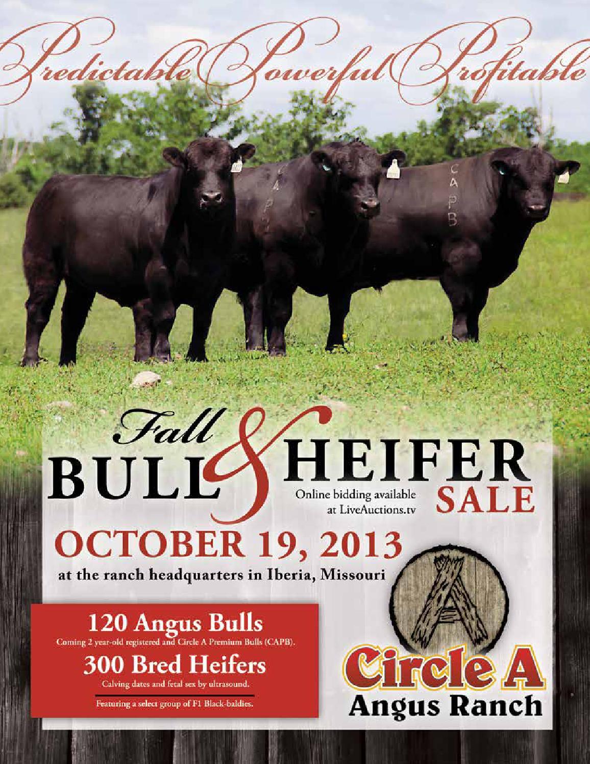 Circle A Ranch October 2013 Sale Catalog by Ranch House Designs Issuu