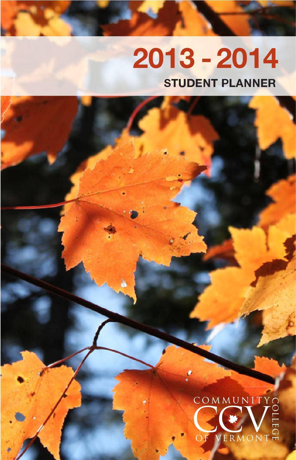 CCV Student Handbook 1314 by Community College of Vermont Issuu