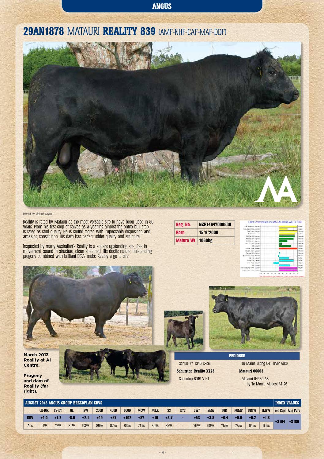 2013 14 ABS Australia beef sire directory by ABS Global, Inc. Issuu