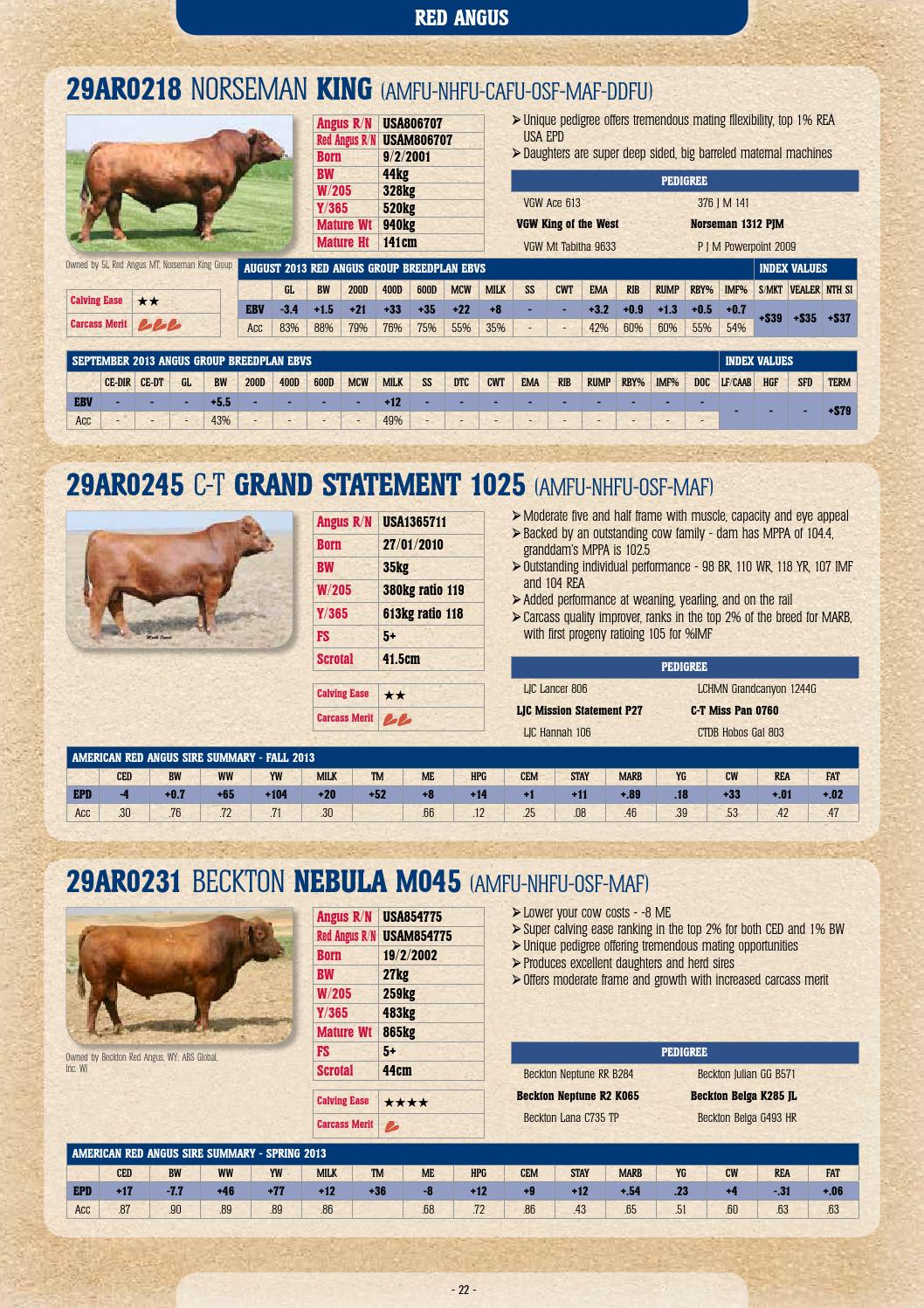 2013 14 ABS Australia beef sire directory by ABS Global, Inc. Issuu