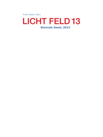 LICHT FELD 13, Biennale Basel 2013 第 3 页