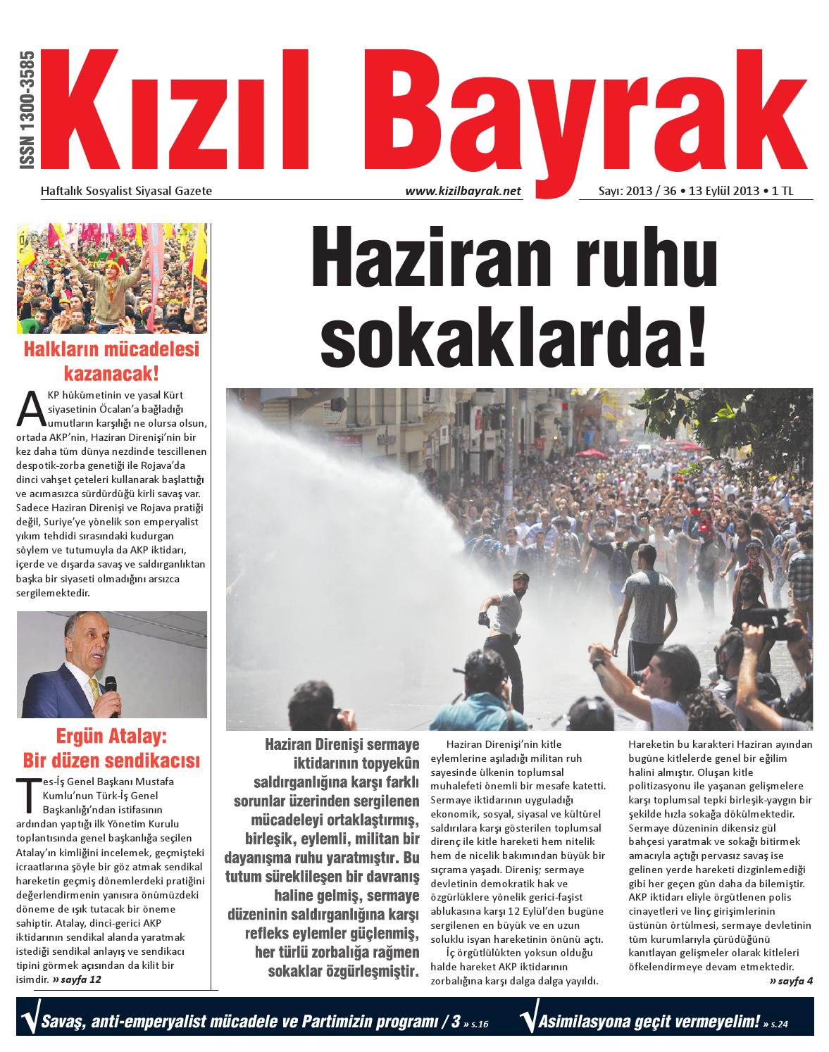 Evsiz hayvanlar bir kişinin sorumluluğundadır Evsiz hayvanlar bir kişinin sorumluluğundadır