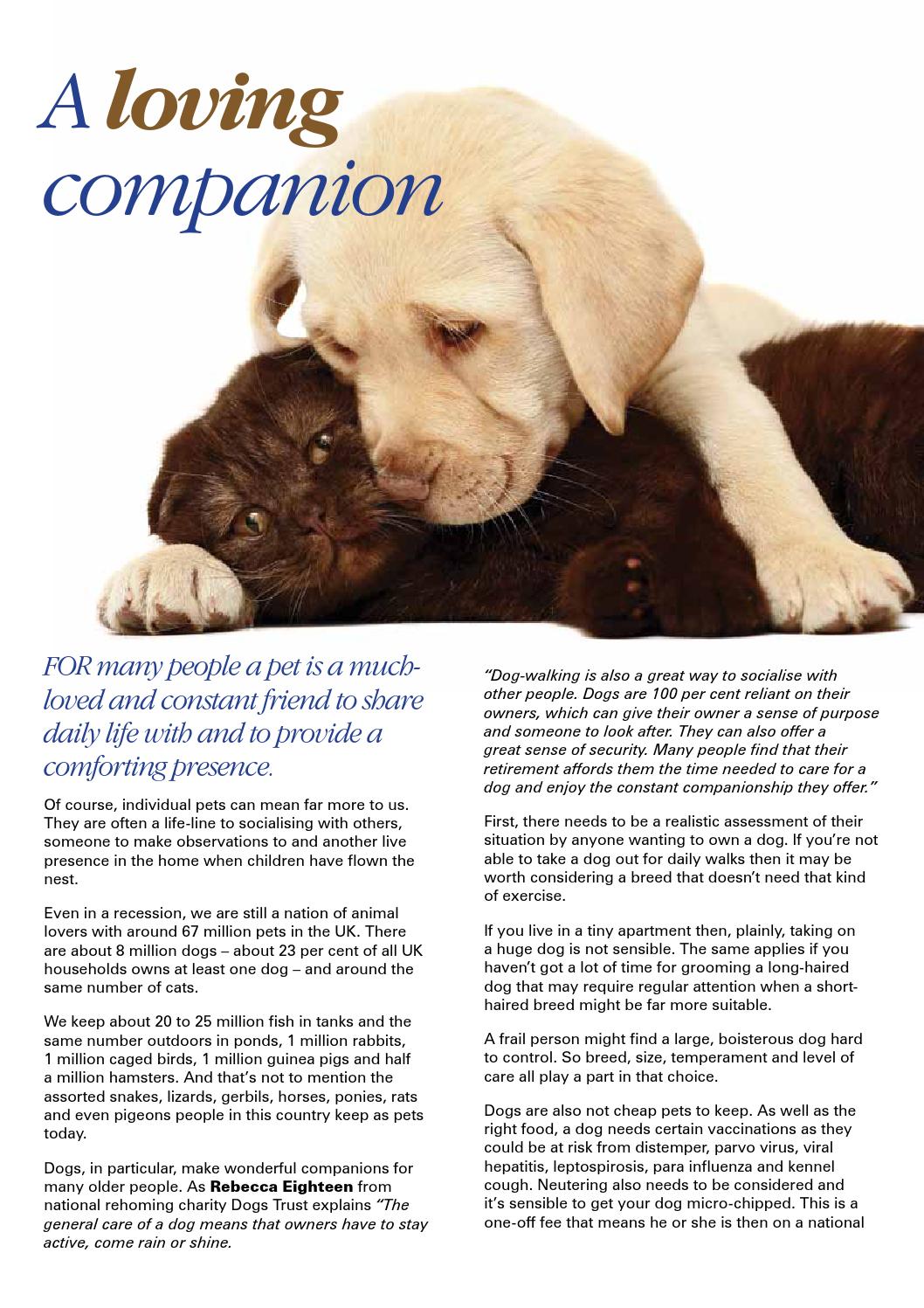 Derbyshire High Peak 36 By 50 Plus Magazine Issuu