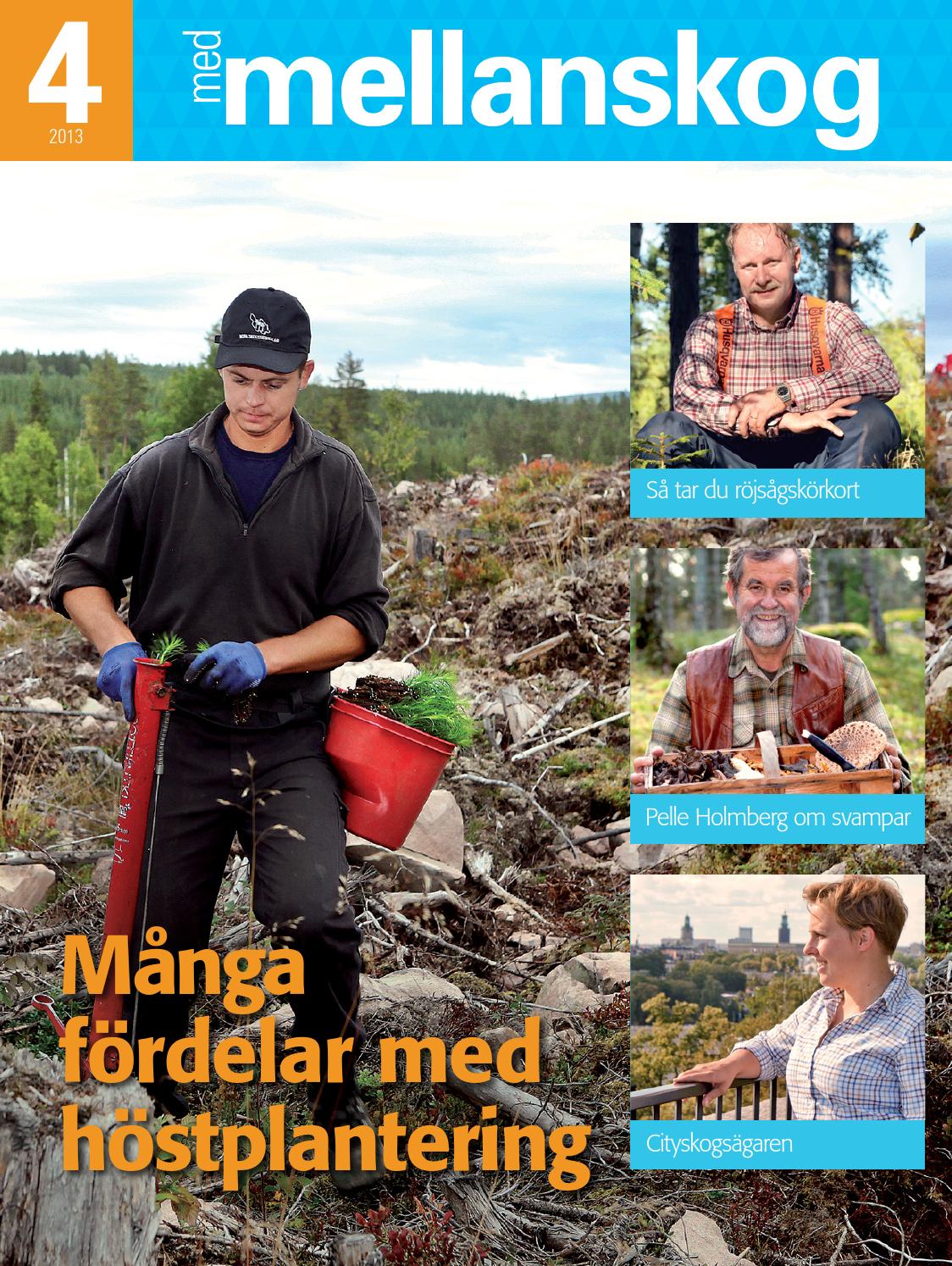 räntesatser räntesatser