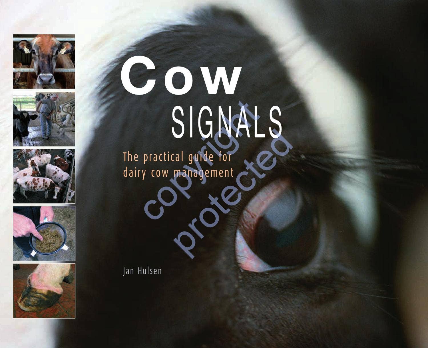 Cow signals - US edition by Roodbont Publishers - Issuu