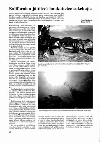 Page 42