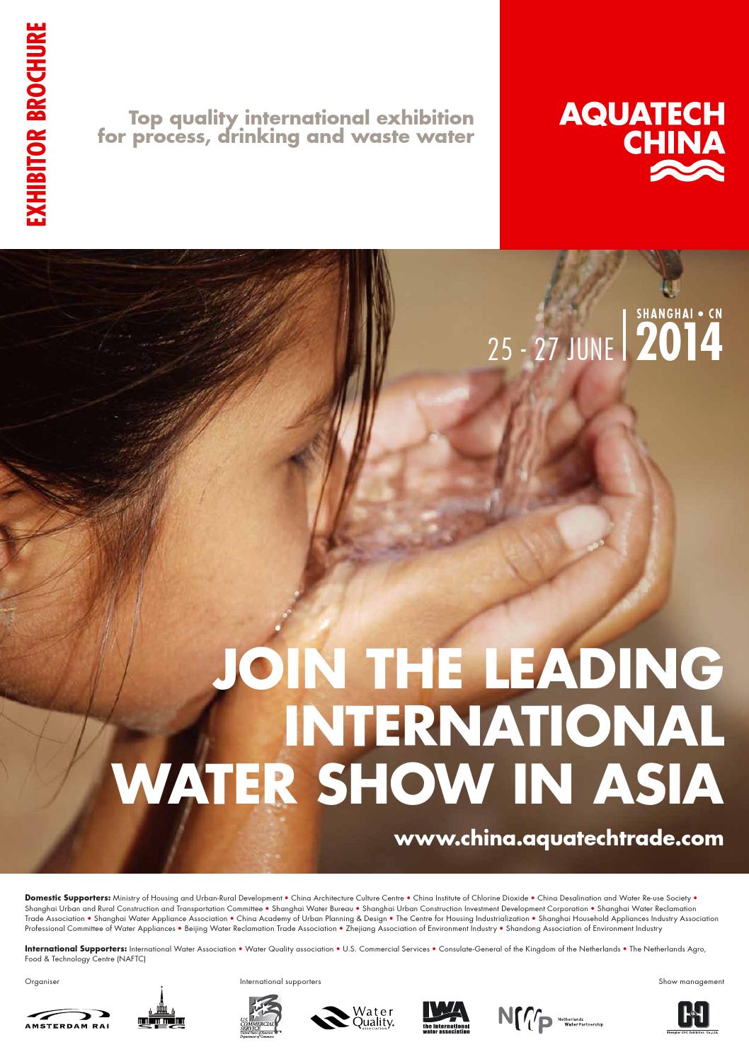 China Matchmaking Show 2014