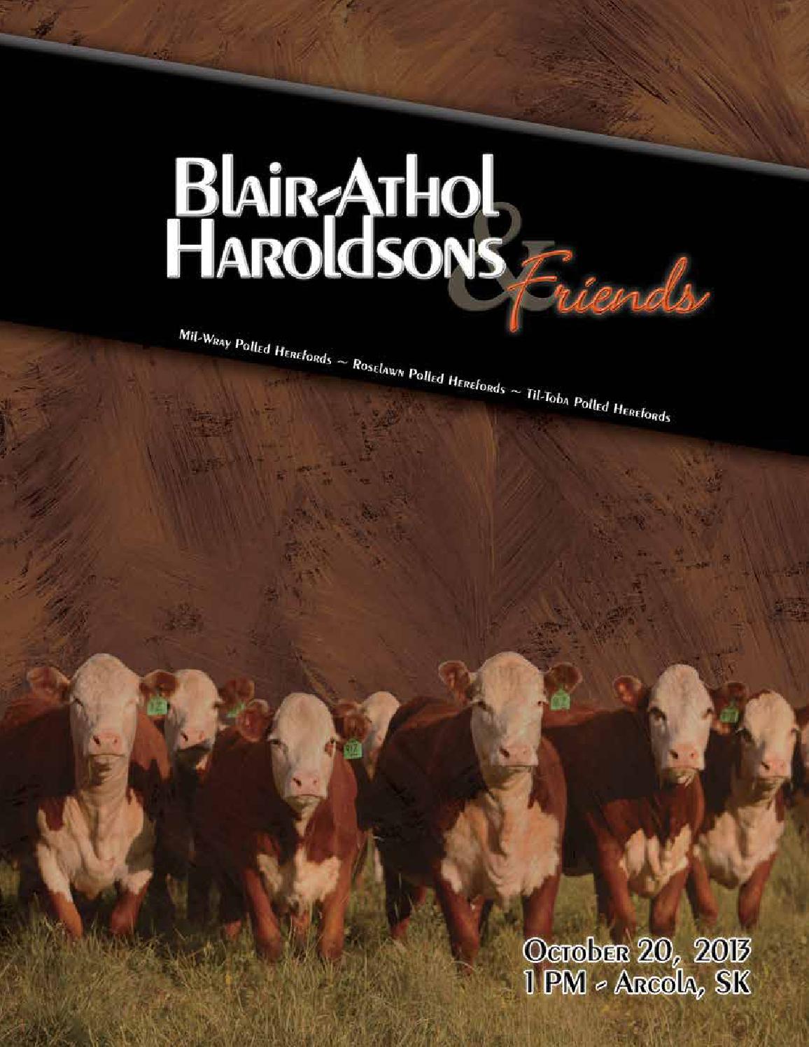 BlairAthol/Haroldson's & Friends Production Sale by Cattle In Motion