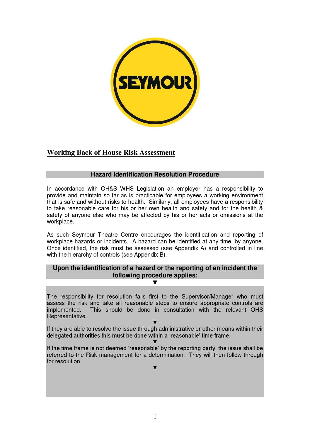 Seymour Risk Assessment doc by Seymour Centre Issuu